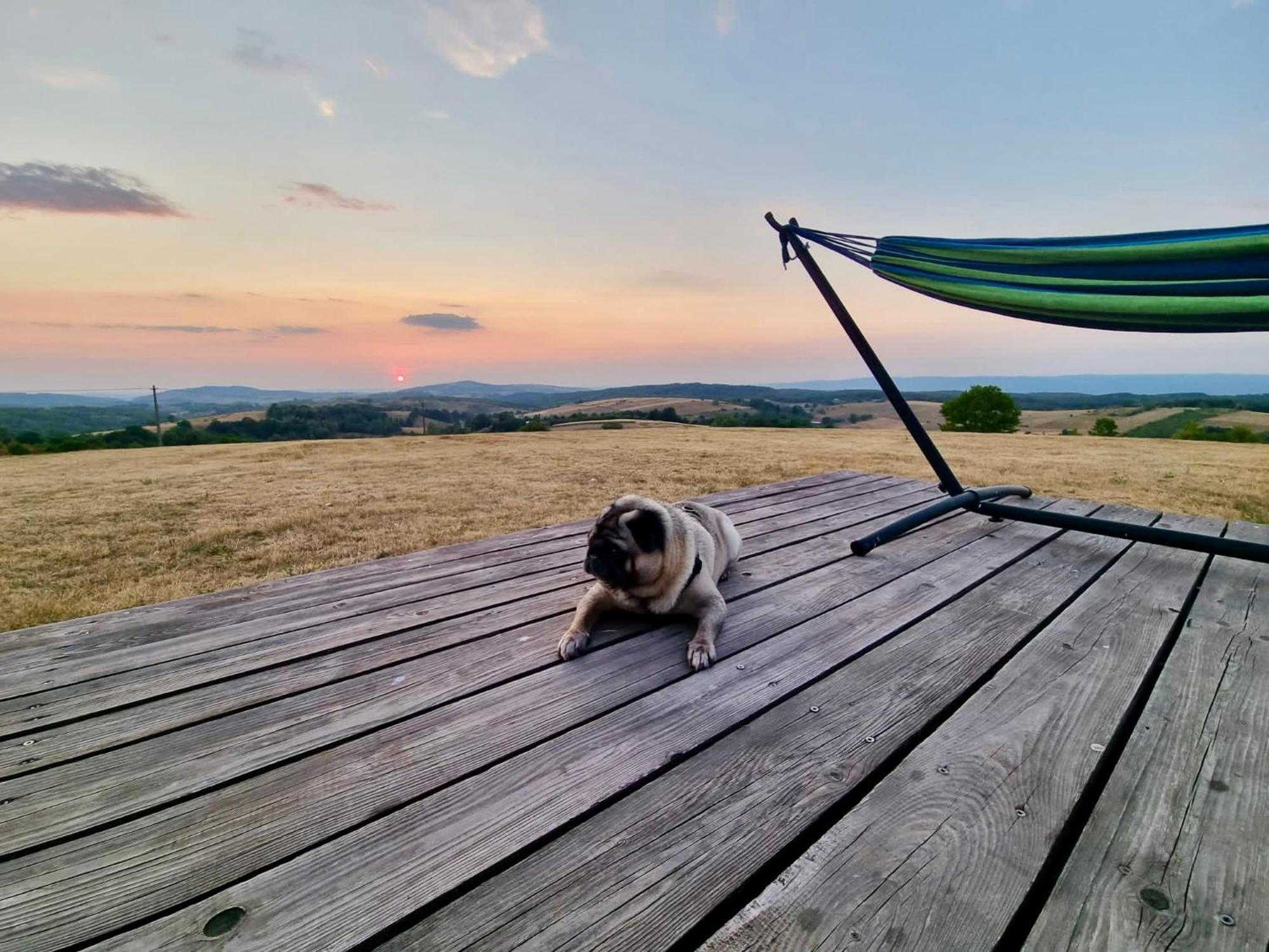 Mountaintop Panoramaview Casa In Bihor Apuseni Ваду Кришулуи Екстериор снимка